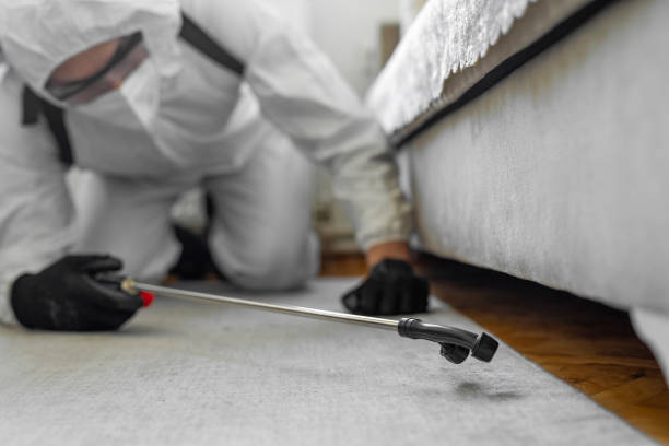Professional Bed Bug Control technician working in Kouts, IN